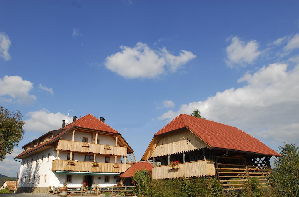 Guesthouse Novak Dvor Стая снимка